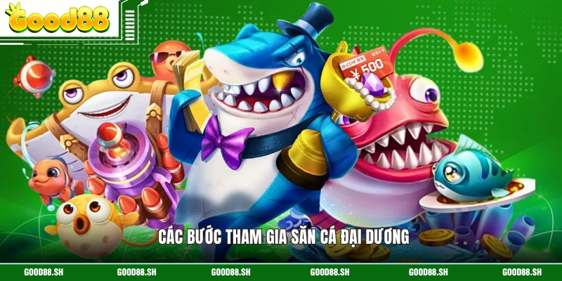 Các bước tham gia săn cá đại dương