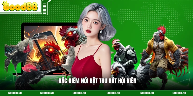Đặc điểm nổi bật thu hút hội viên