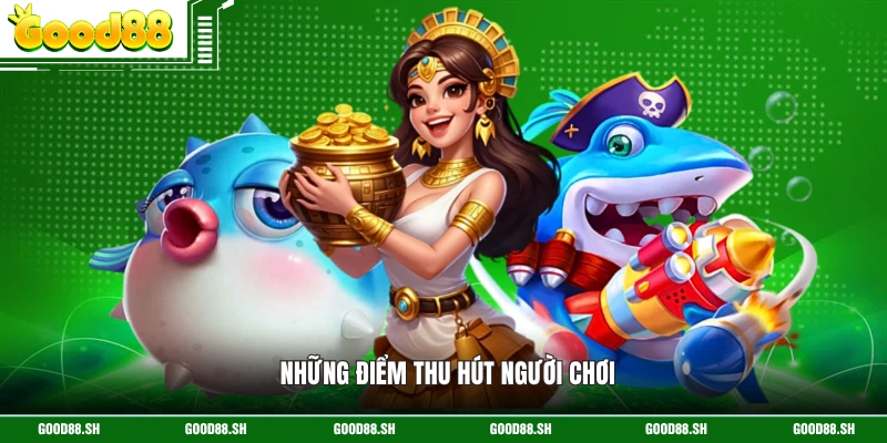 Những điểm thu hút người chơi