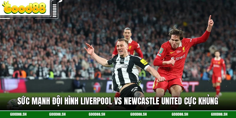 Sức mạnh đội hình Liverpool Vs Newcastle United cực khủng